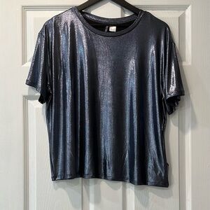 H&M Shimmering Silver Short Sleeve Top